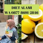 TERLARIS !!! WA 0877-8691-2846 Jual Minuman Diet Alami Makassar